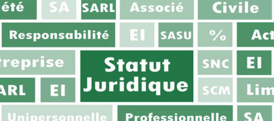 Différents statuts juridiques